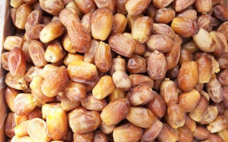 خرمای زاهدی