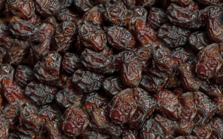 خرمای خاصویی