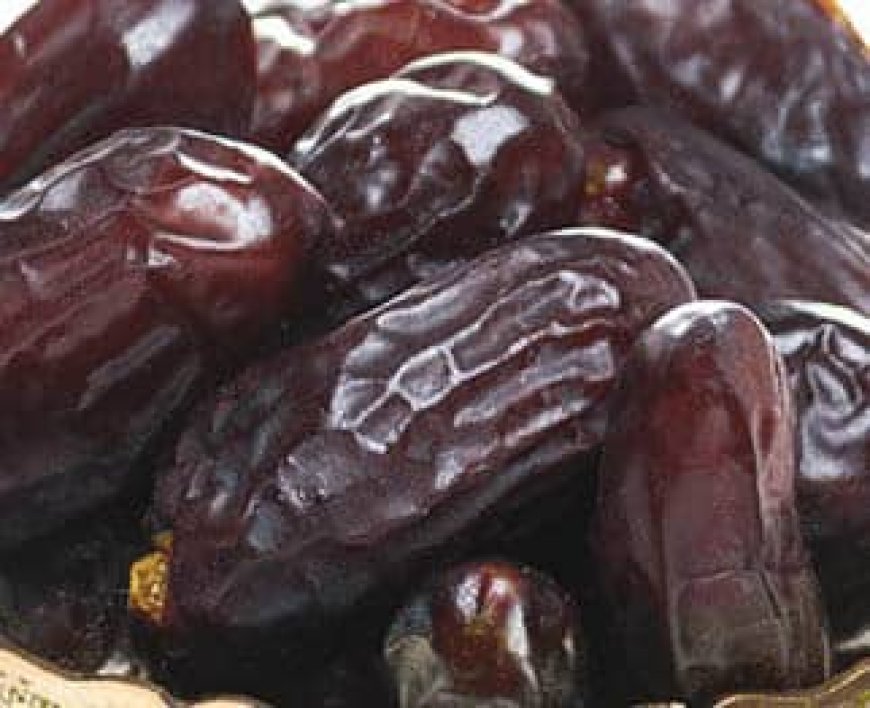 خرمای ربی