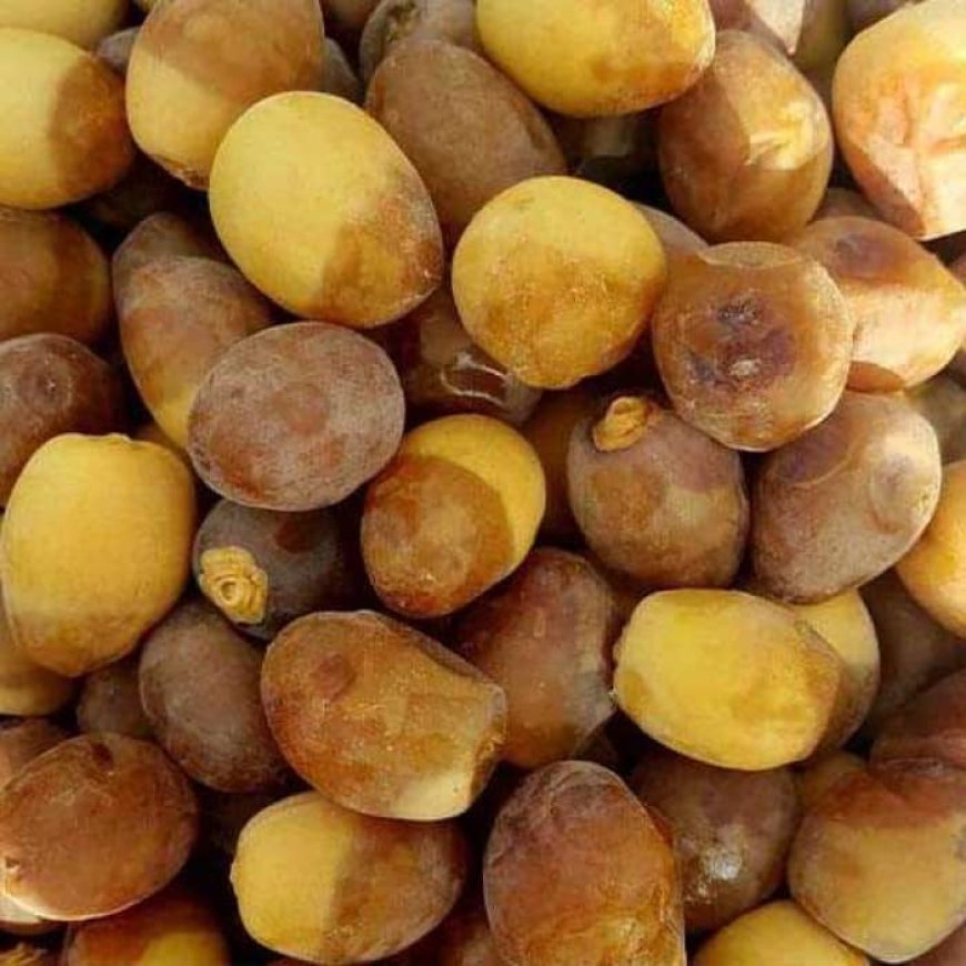 خرمای برحی